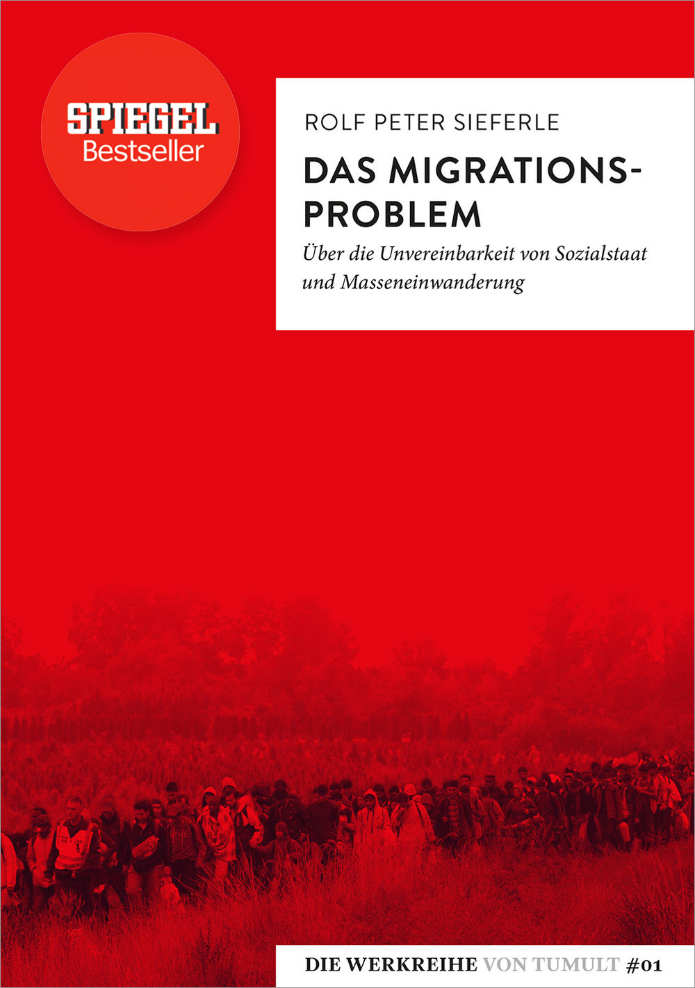 Das Migrationsproblem. Über die Unvereinbarkeit von Sozialstaat und Masseneinwanderung