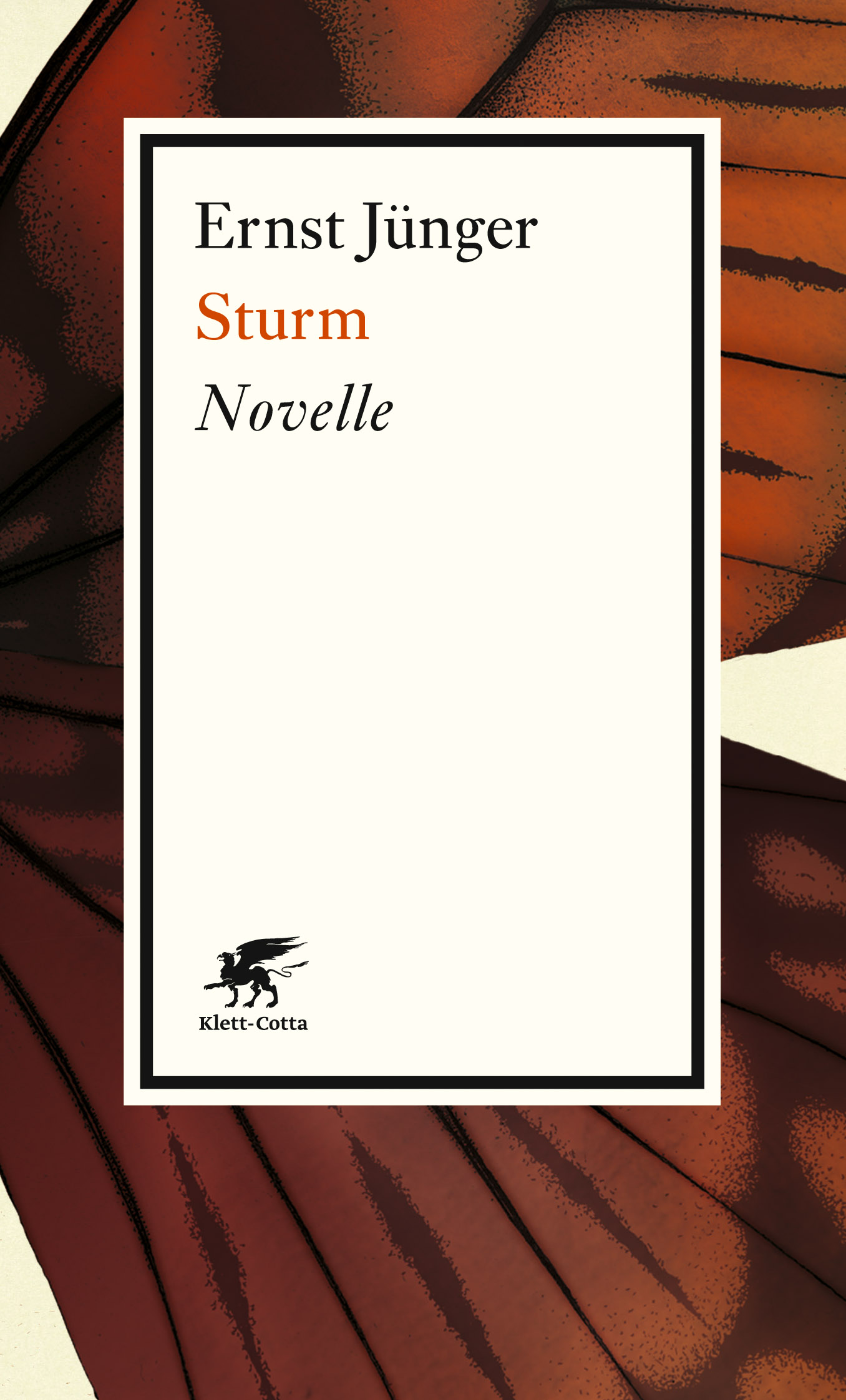 Sturm. Novelle