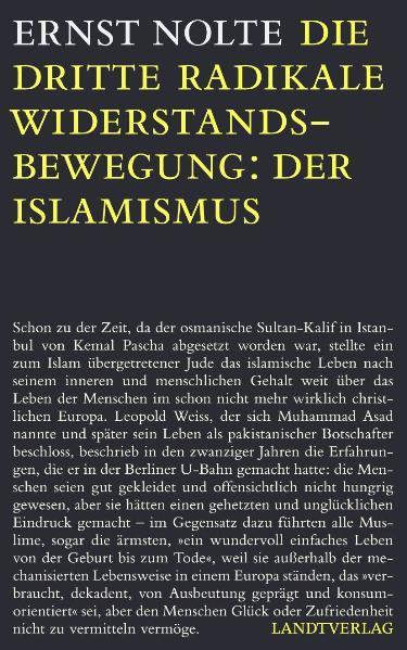 Die dritte radikale Widerstandsbewegung: Der Islamismus